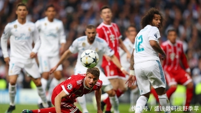 己的特长 己的特长